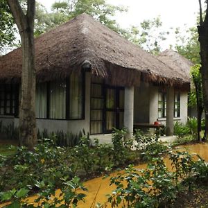 Two-Bedroom Garden Villa